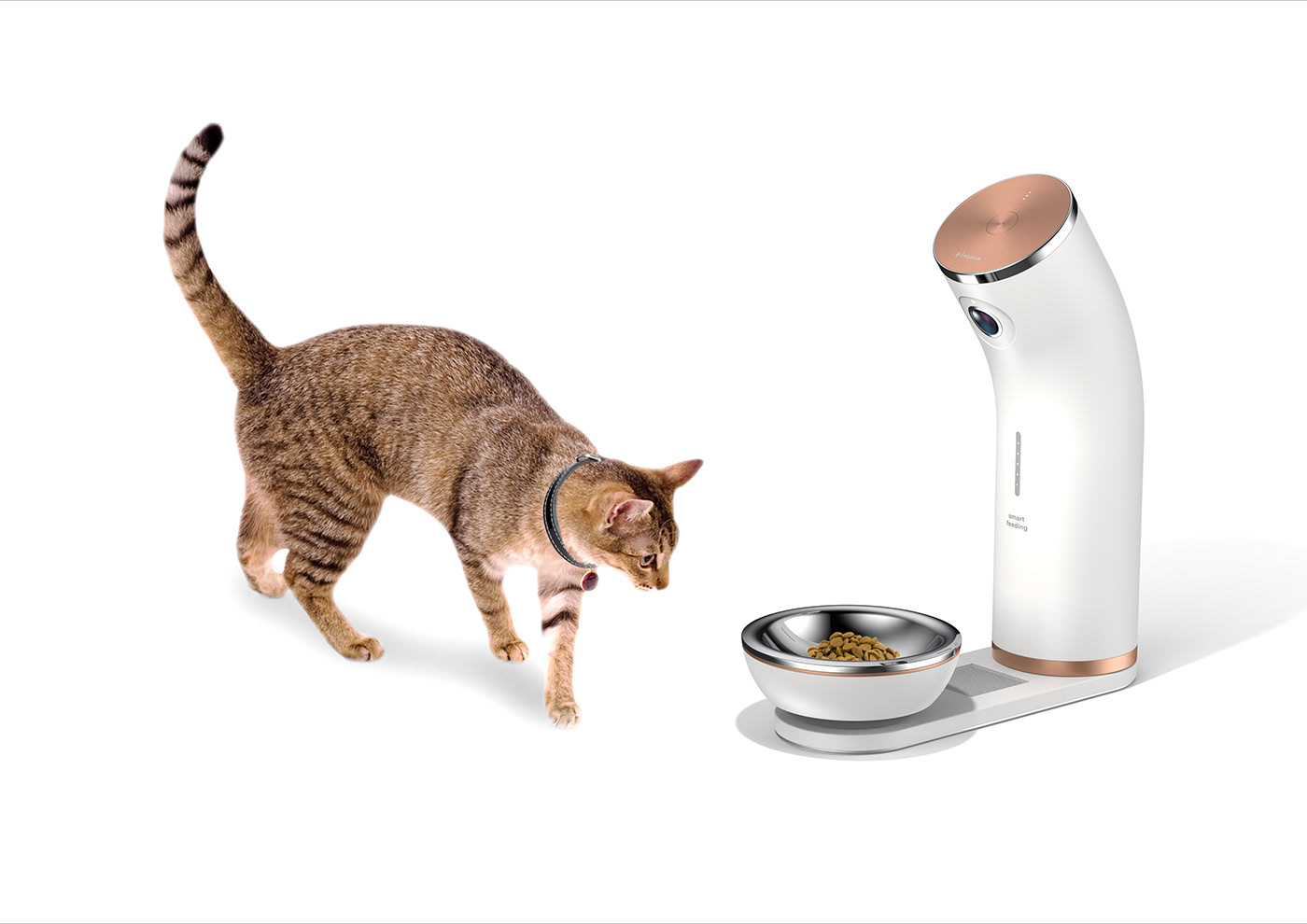 Pets，diet，analysis，