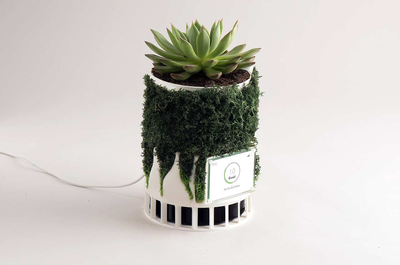 purifier，air，biodegradable，