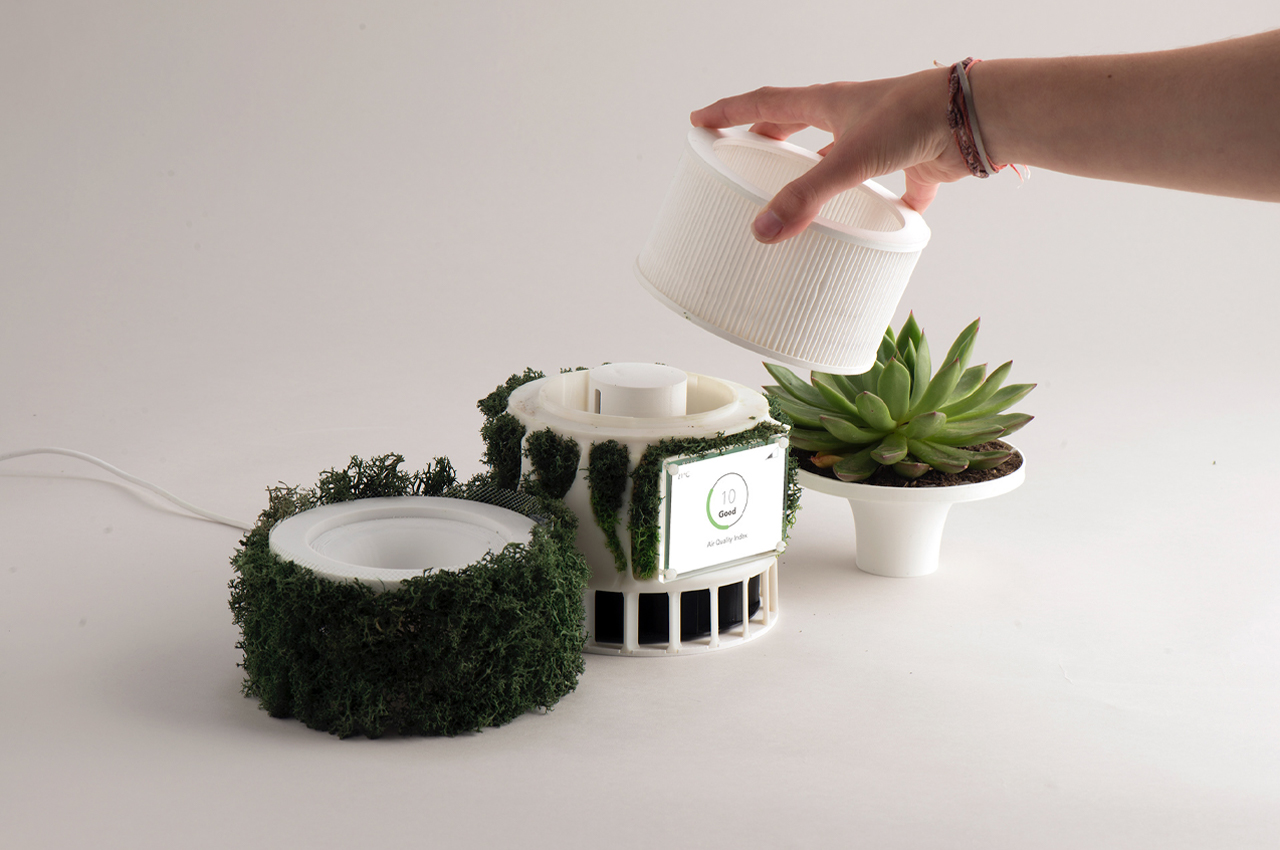 purifier，air，biodegradable，