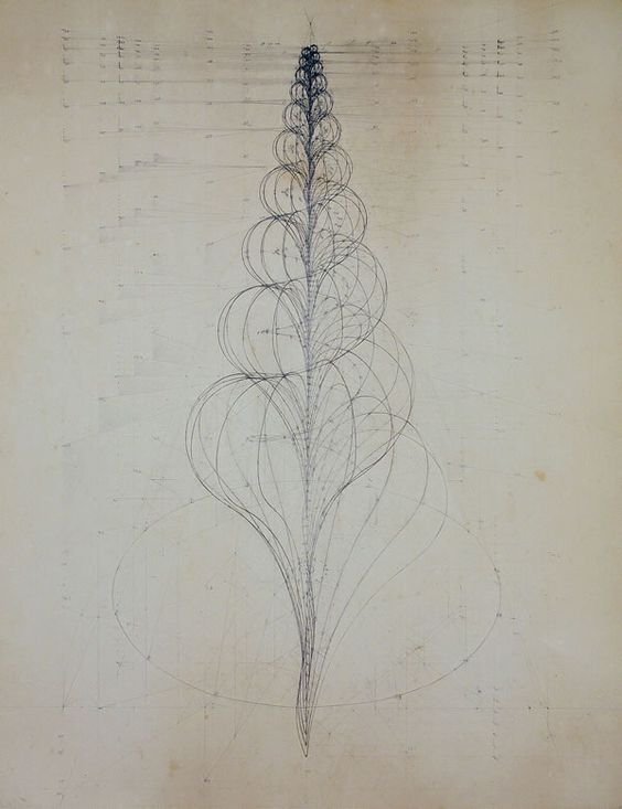 perspective，basic skill，