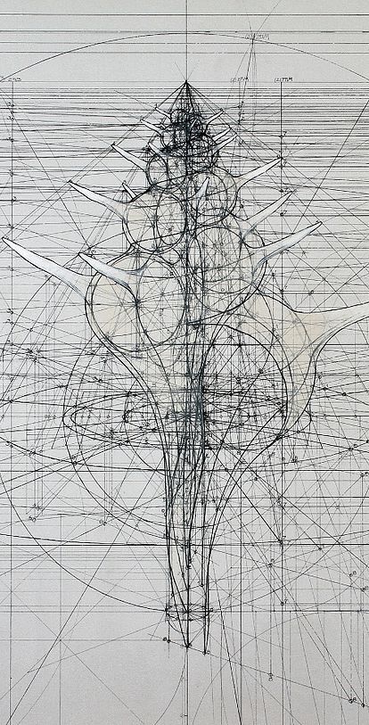 perspective，basic skill，