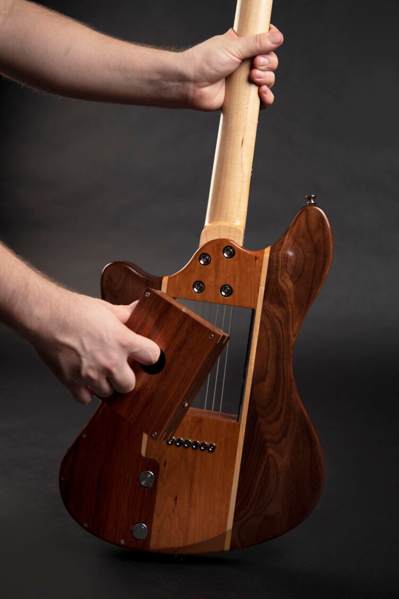 Modular electric guitar，Reddick Guitars，Pickup module，customized，Handmade，