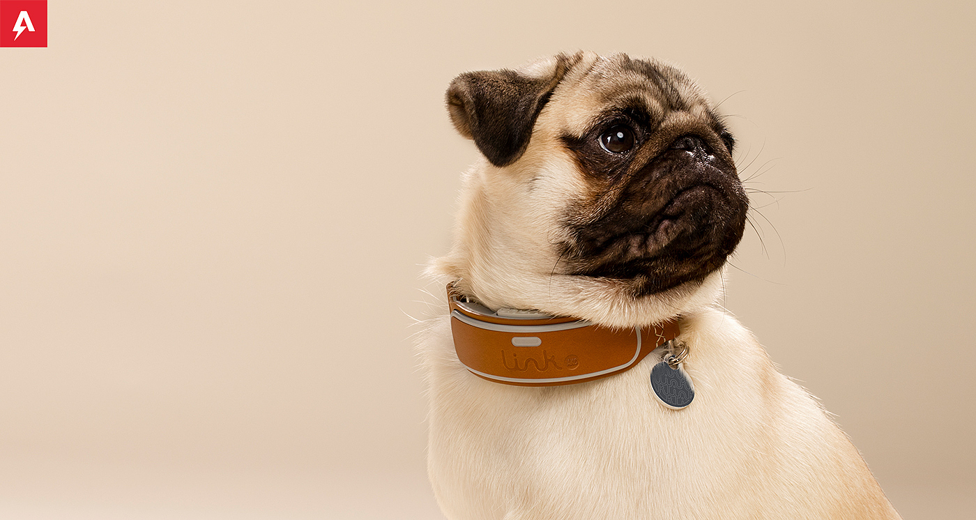 dog，Pet Supplies & Pet，Smart collar，smooth，soft，charge，Adjustable，