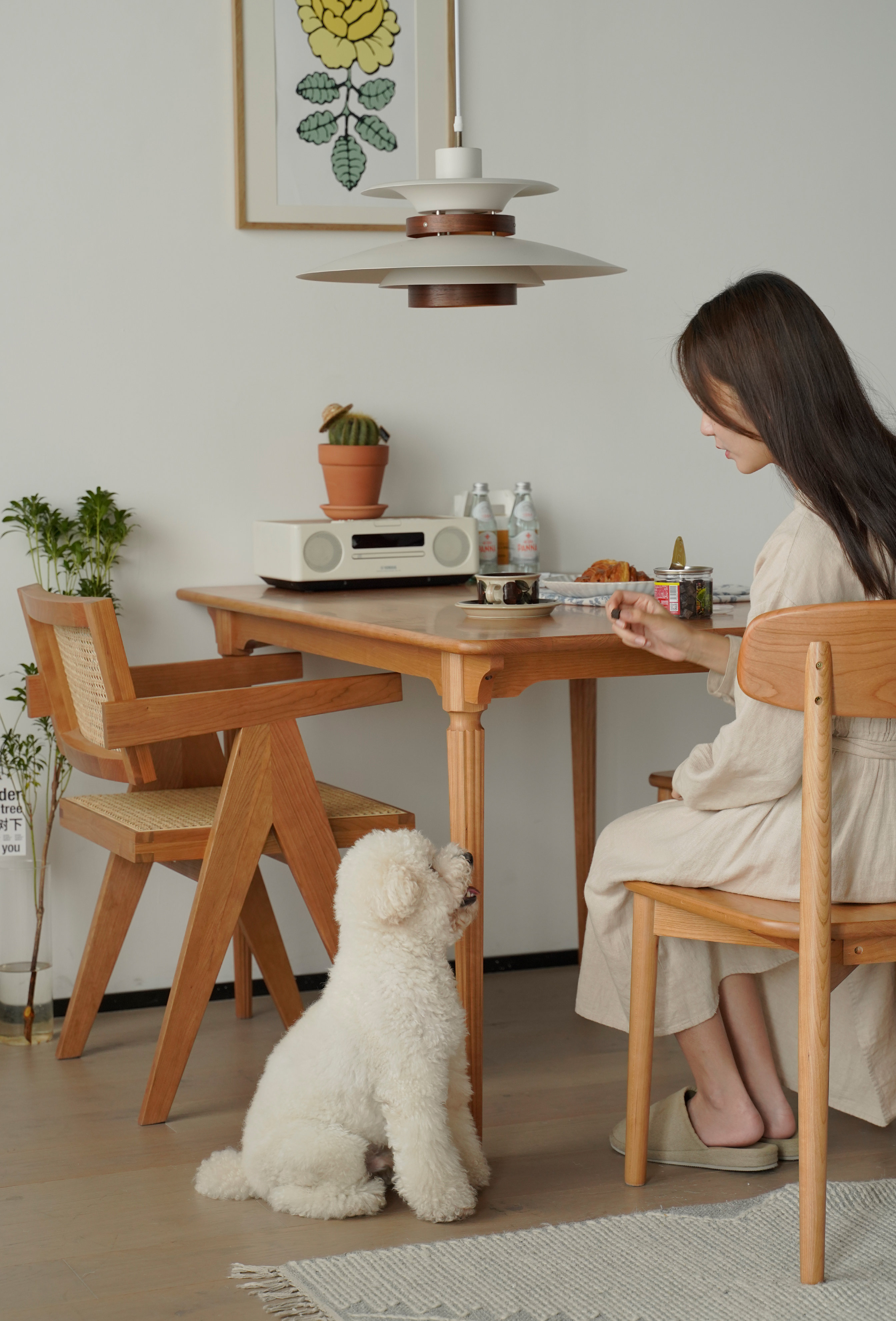 furniture，table，Solid wood furniture，a living room，Dining chair，