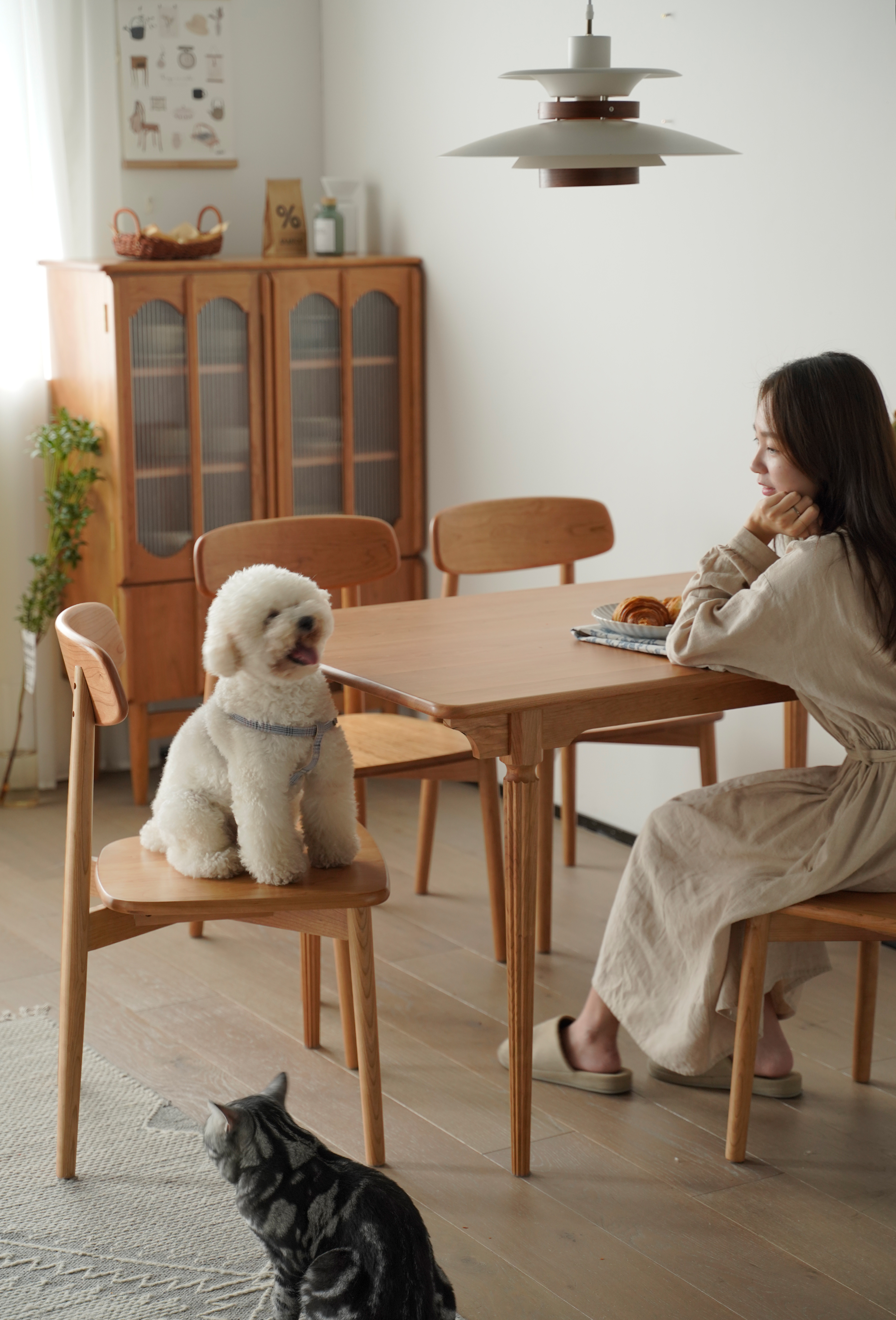 furniture，table，Solid wood furniture，a living room，Dining chair，