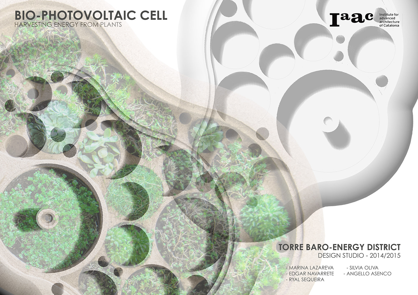 Bio-photovoltaic panel - 普象网