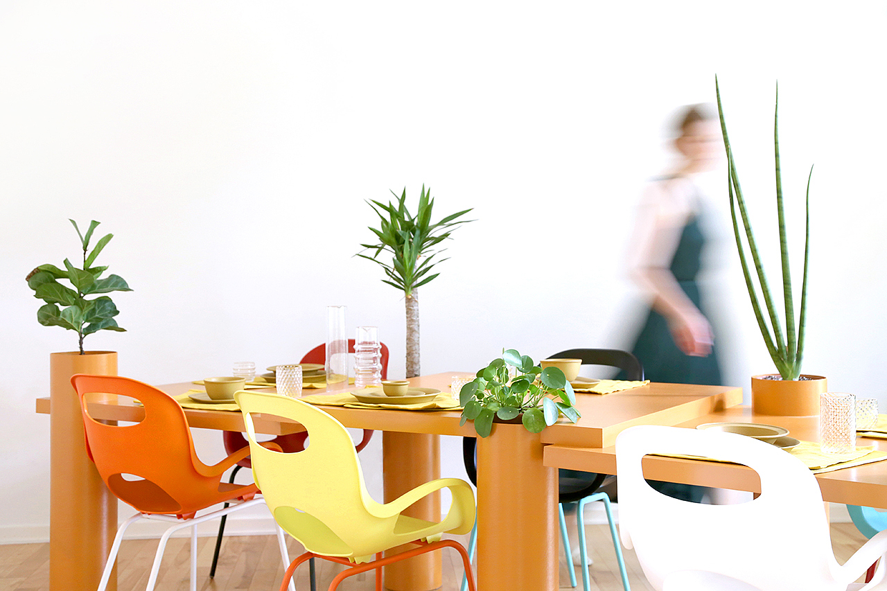 Table，Botany，