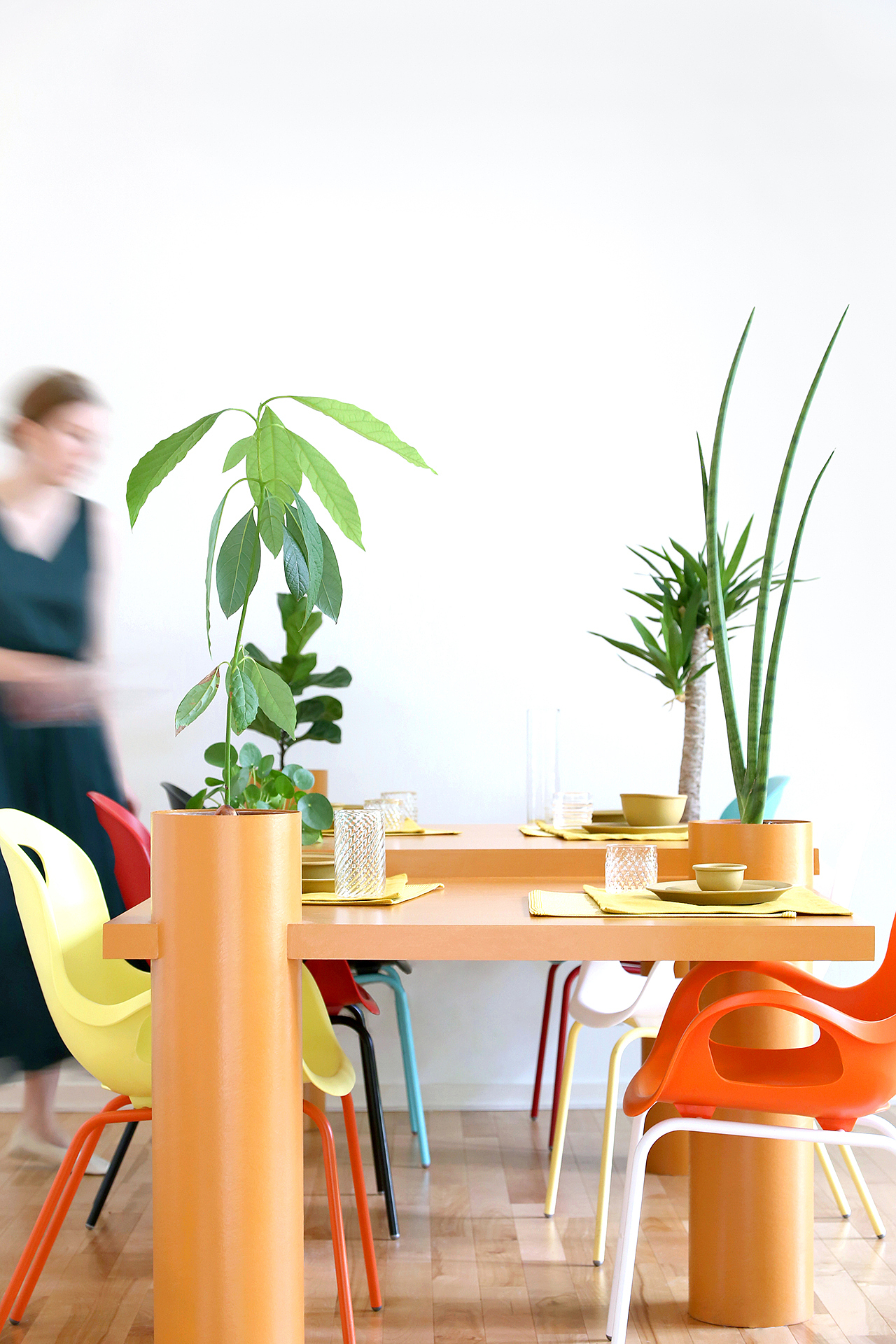 Table，Botany，