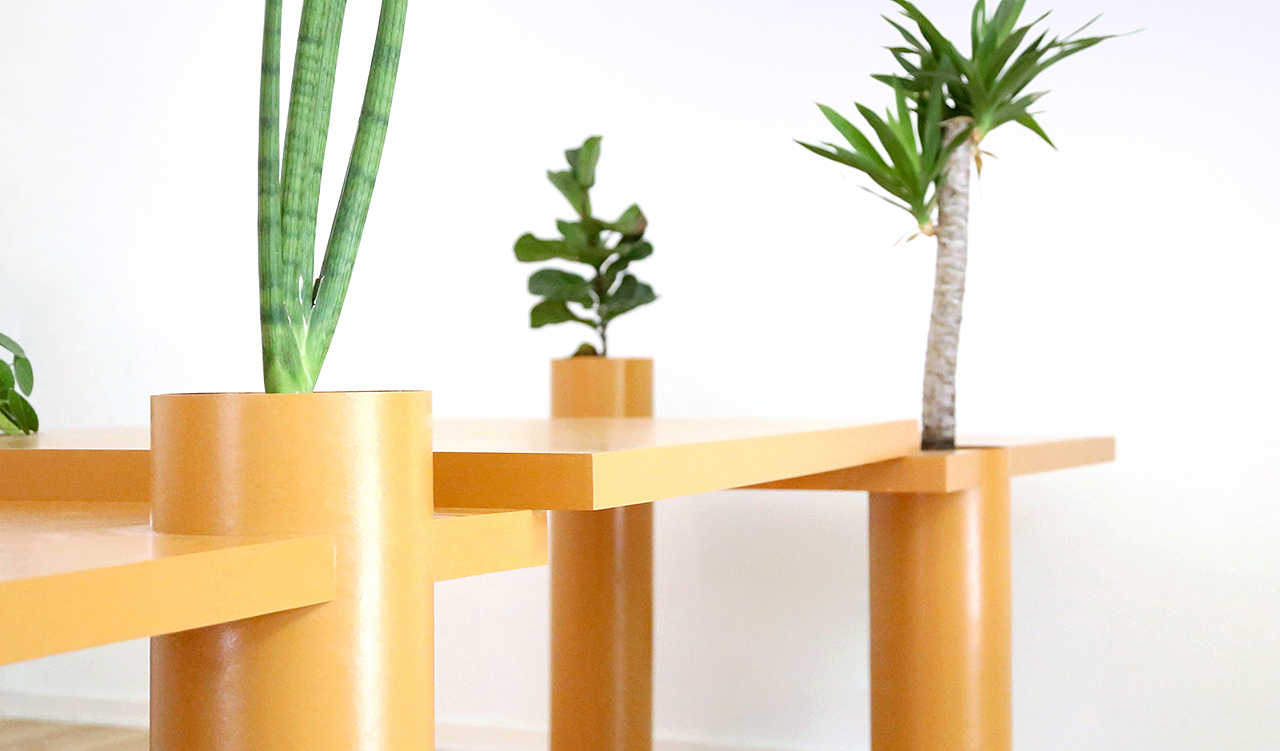 Table，Botany，
