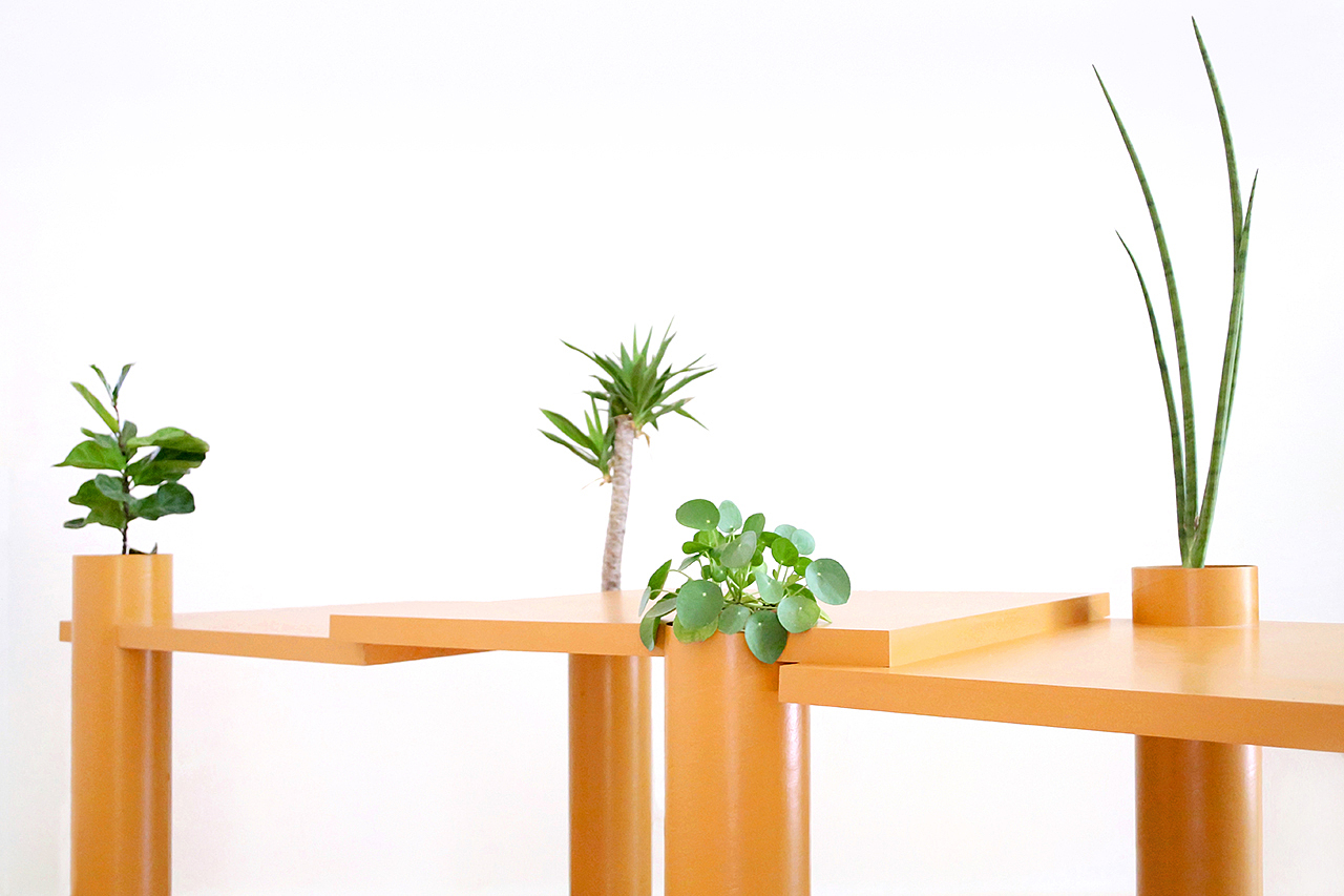 Table，Botany，