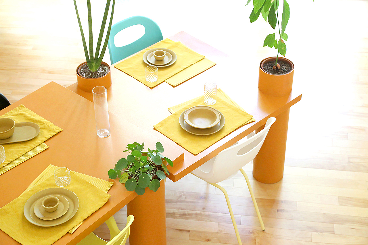 桌子，植物，