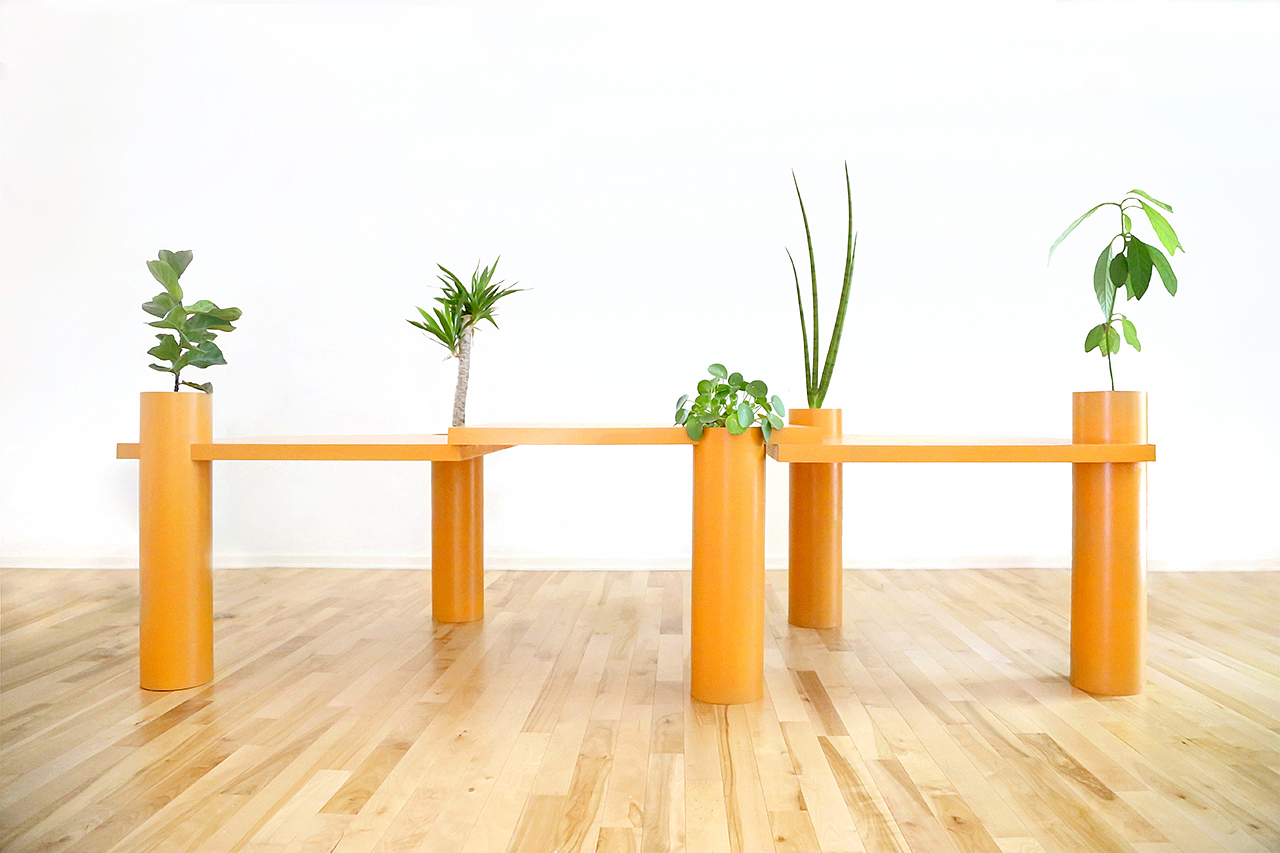 桌子，植物，