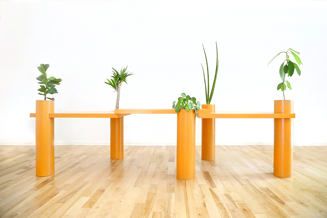 Table，Botany，