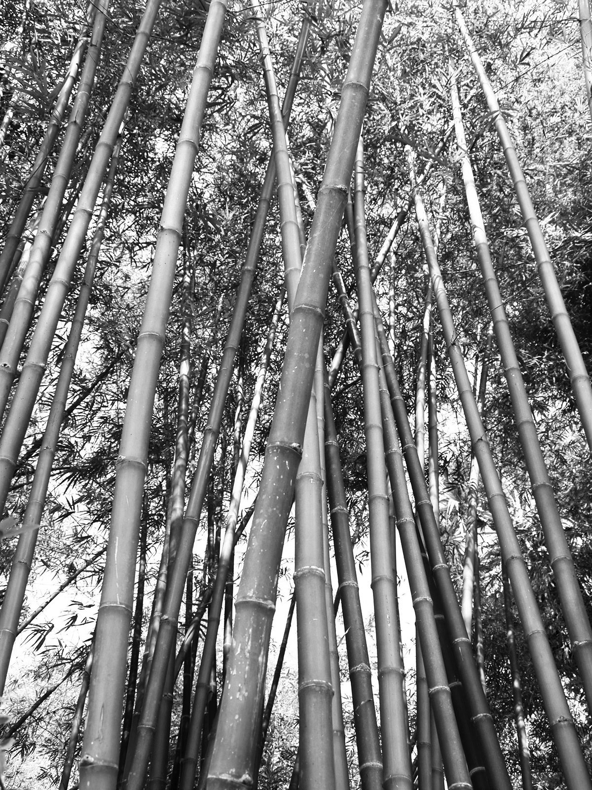 30Fan，electric fan，