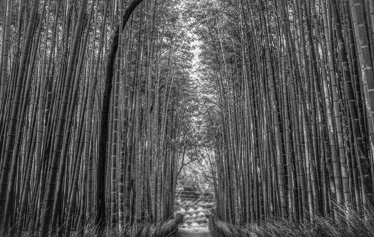 30Fan，electric fan，