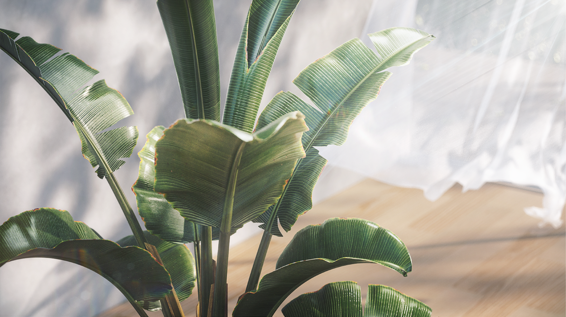 product，Product display，dynamic design ，millet，Zhimi，product design，c4d，ae，