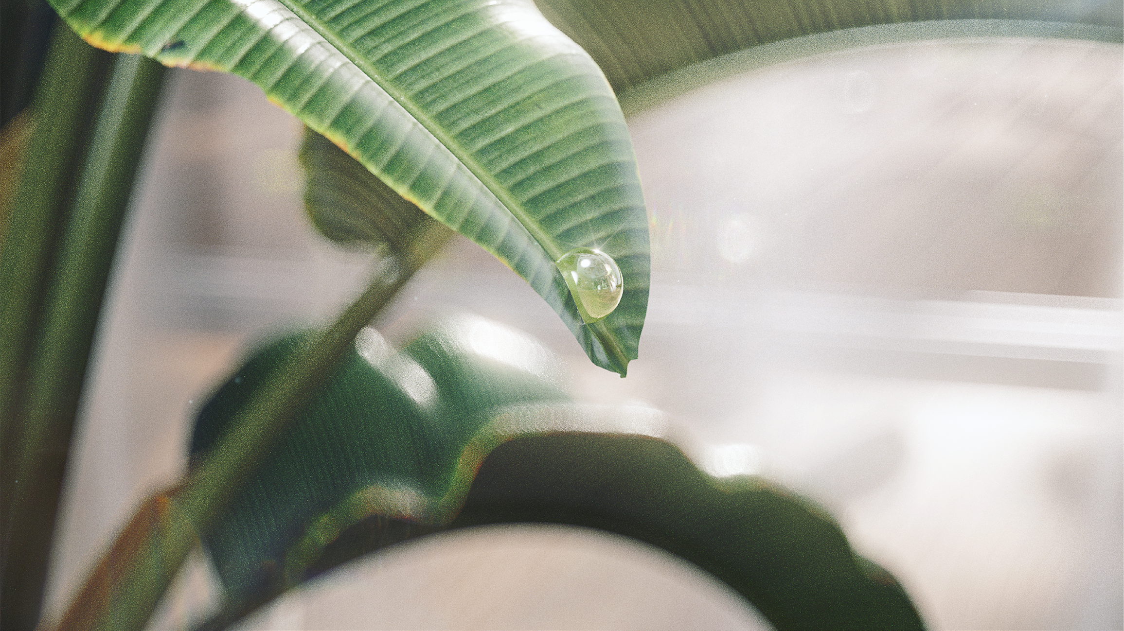 product，Product display，dynamic design ，millet，Zhimi，product design，c4d，ae，