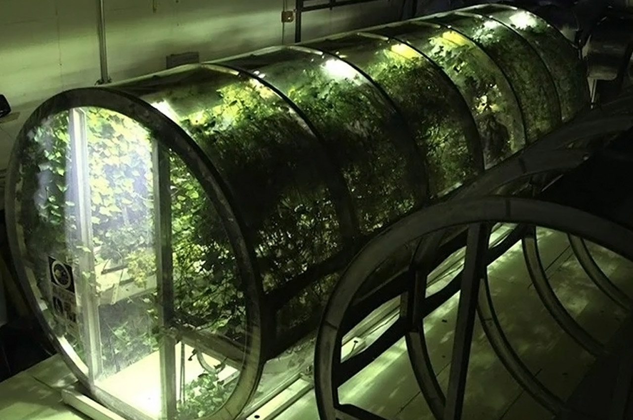 Architecture，Space，hotel，residence，Render，