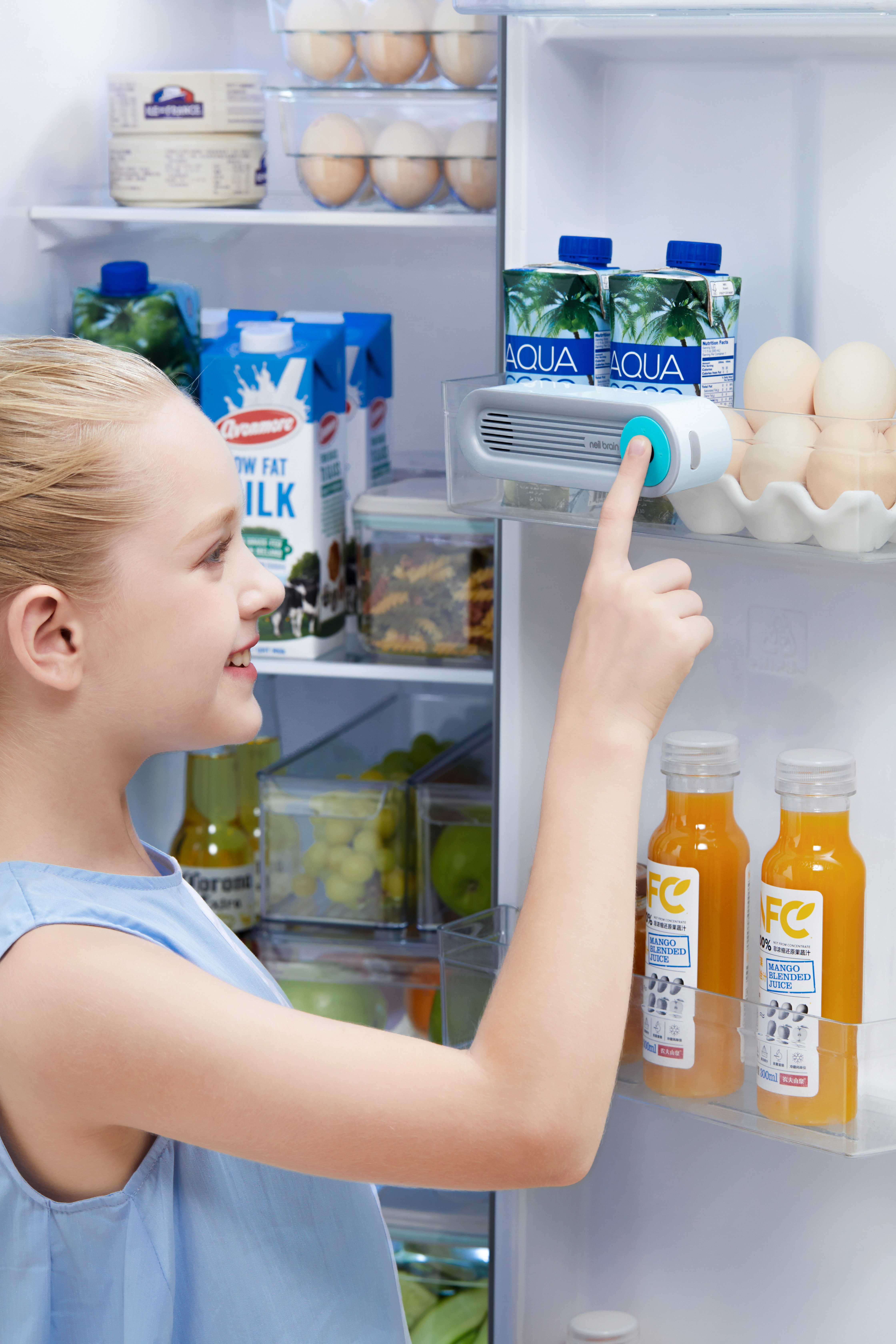 Deodorizer, refrigerator，