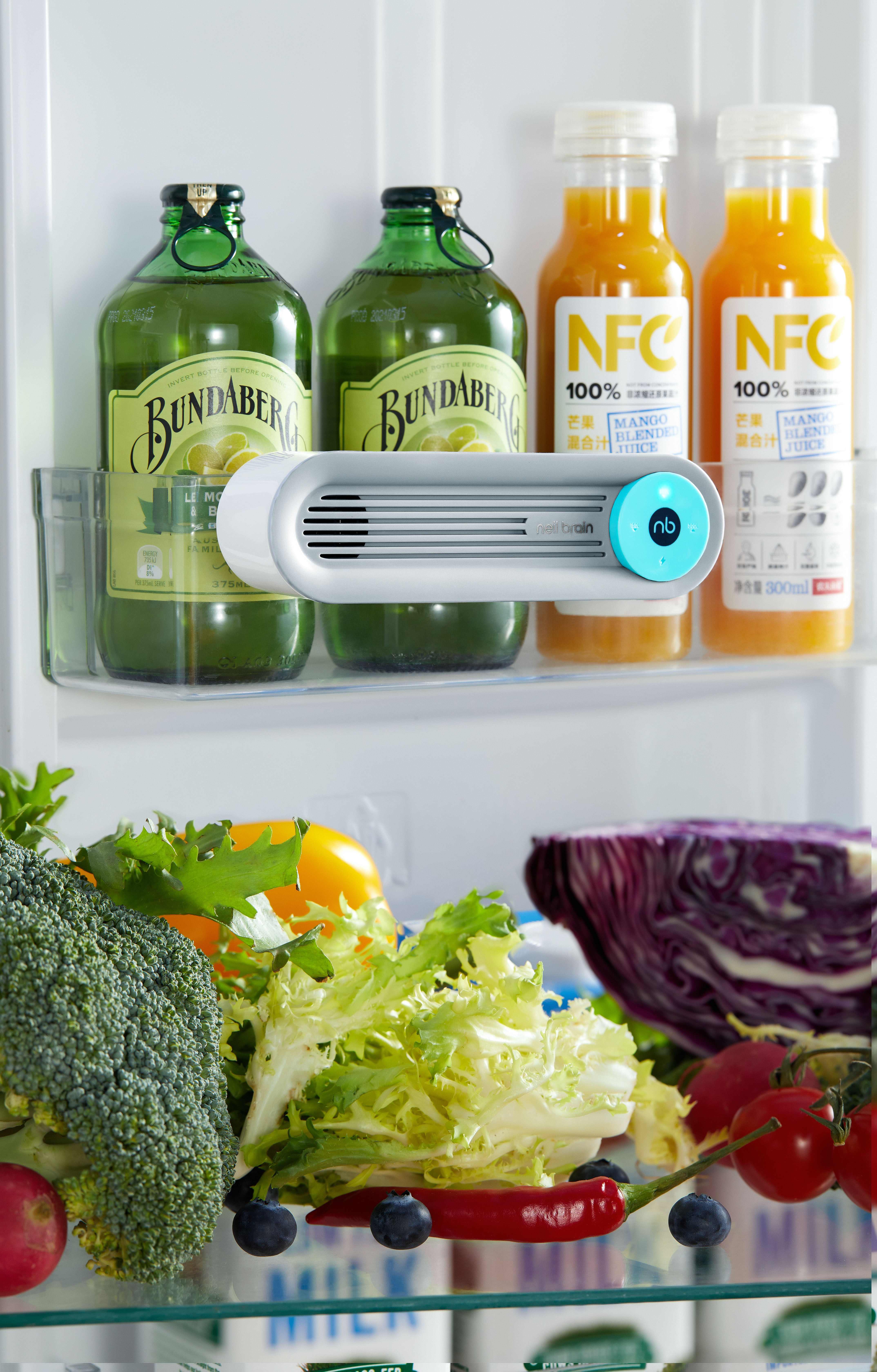 Deodorizer, refrigerator，