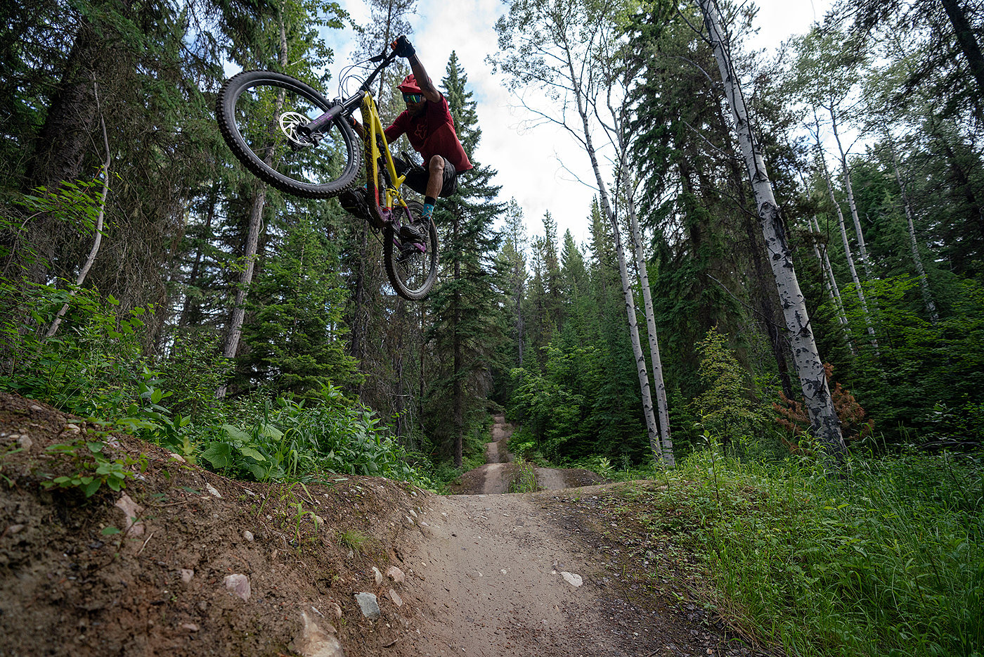 Bicycle，Mountain bike，carbon fibre，