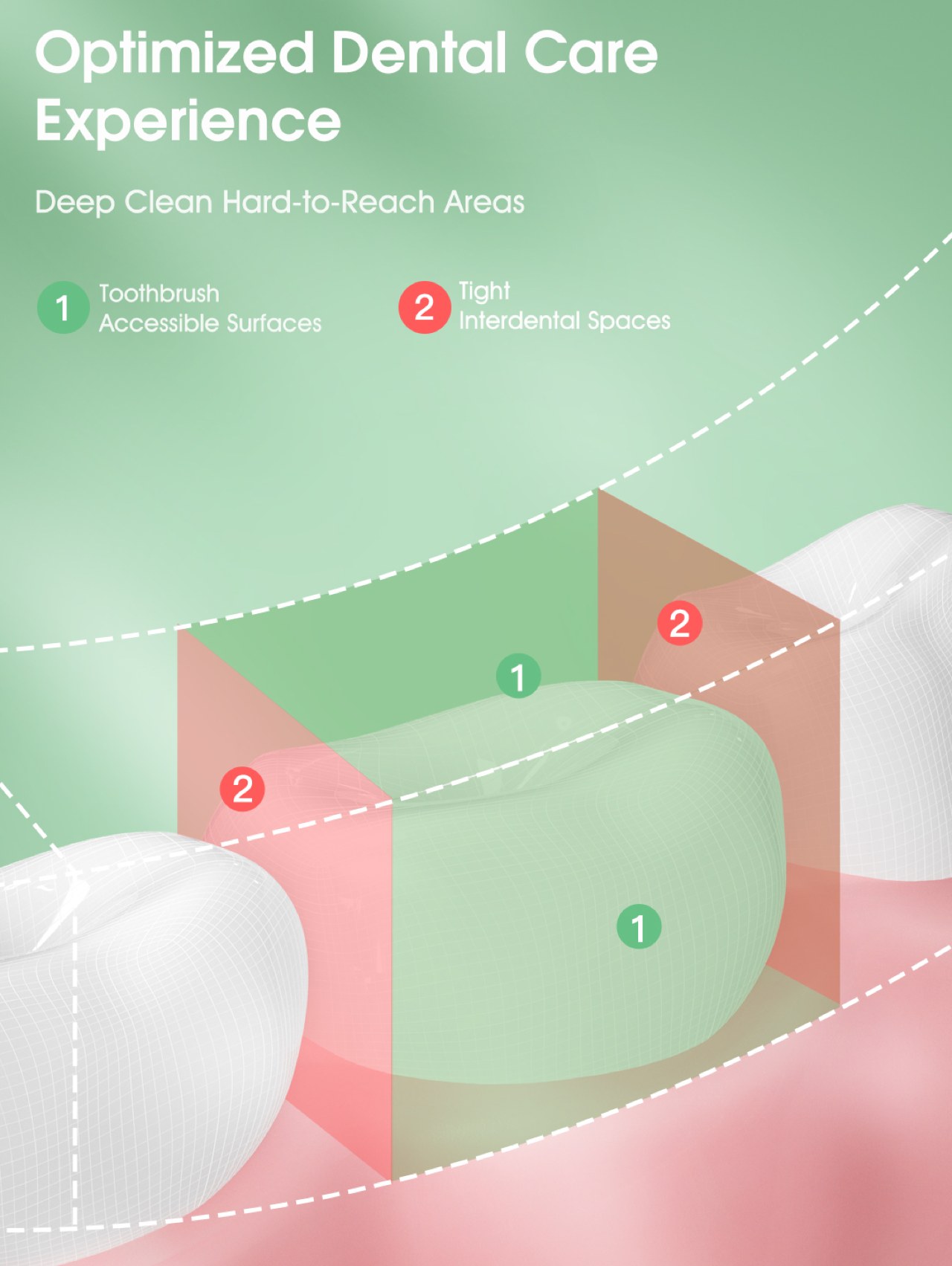 Oclean W10，Dental cleaner，bearingless motor ，