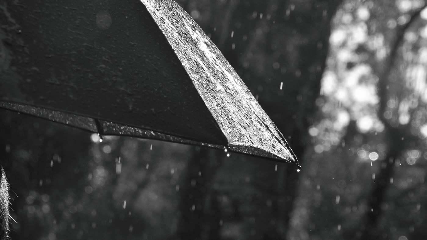 Umbrella，Bracket，dysone，dry，