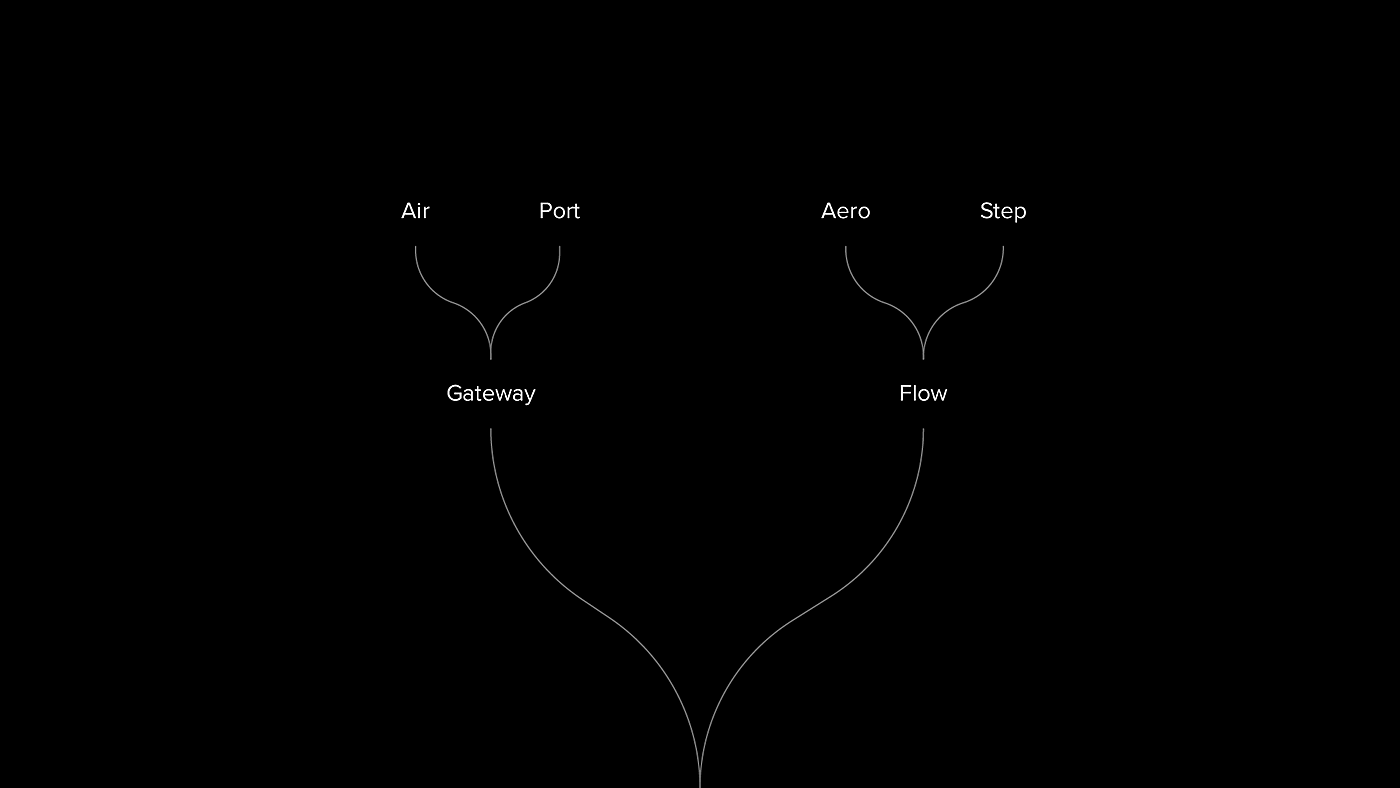 FLOWN，流动形式，机场信息亭，空气动力流，盲文，机场空间流动，