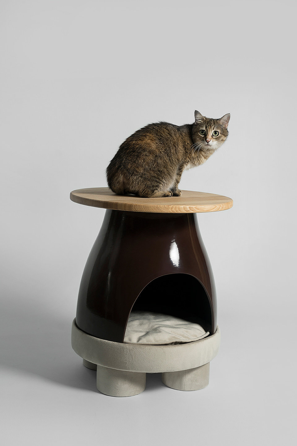 Coffee table，Pet shelter，CeramicaDesign，product design，Pet Supplies & Pet，