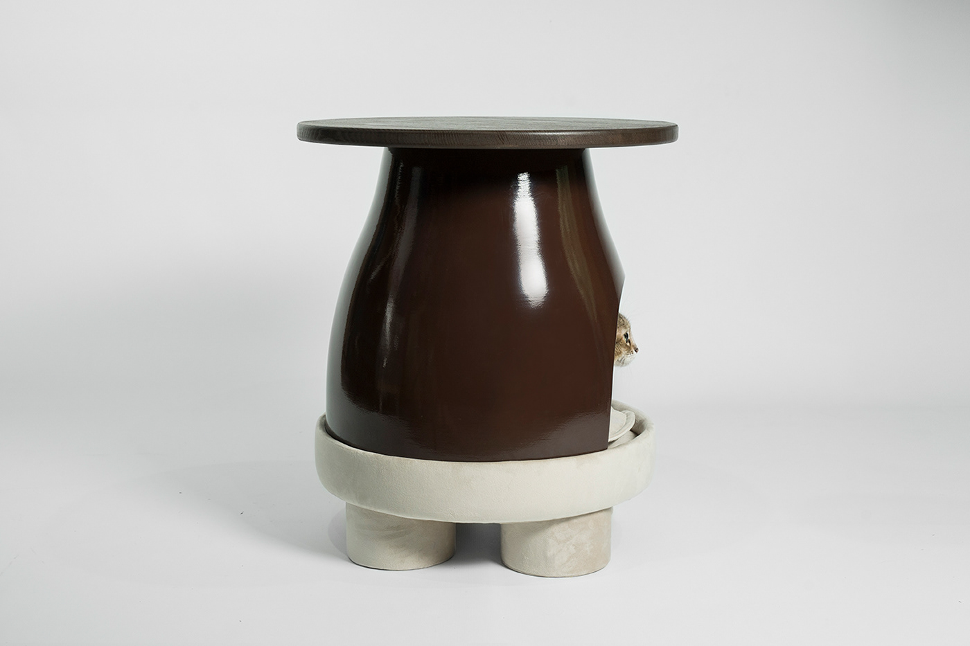 Coffee table，Pet shelter，CeramicaDesign，product design，Pet Supplies & Pet，