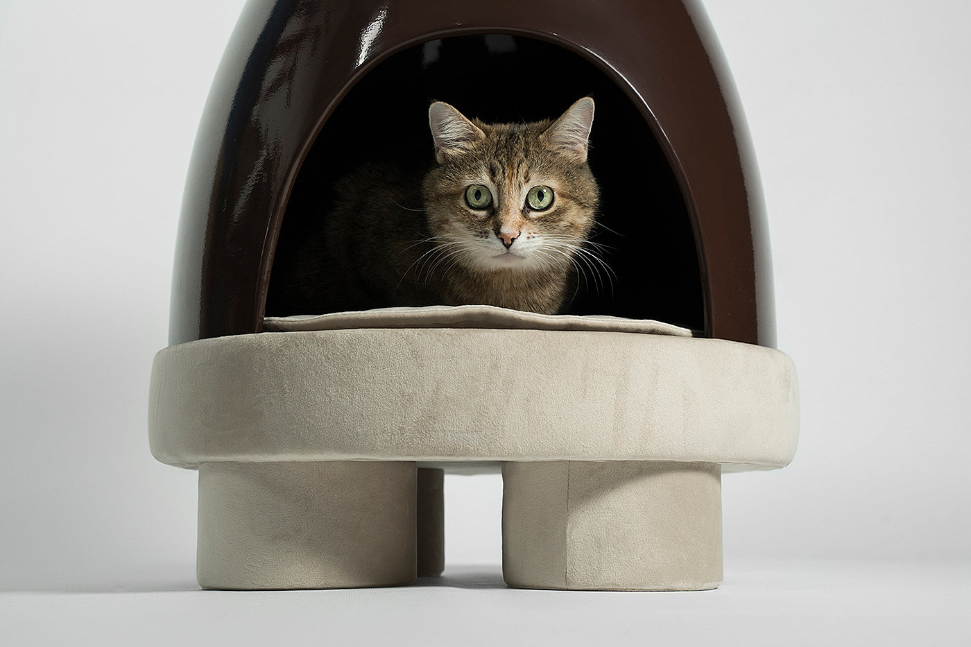 Coffee table，Pet shelter，CeramicaDesign，product design，Pet Supplies & Pet，