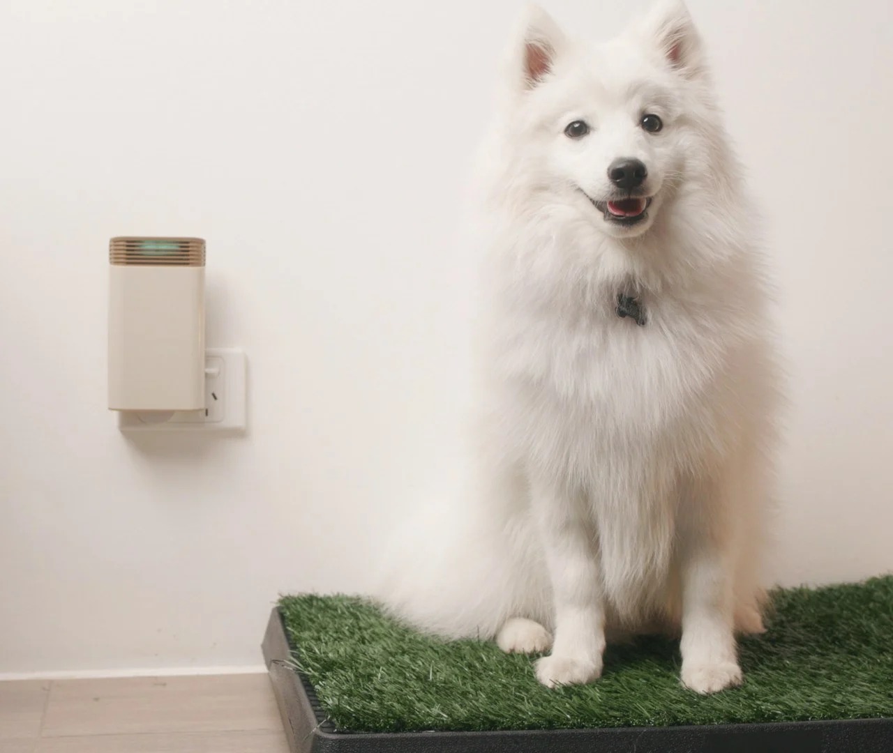 ，Hydroxyl and plasma purification technology，Portable and compact，air cleaner，Plug in，Hydroxyl + Plasma，