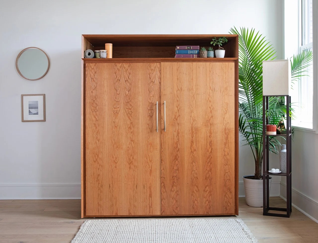 cupboard，furniture，Exercise bike cabinet，practical，wooden ，