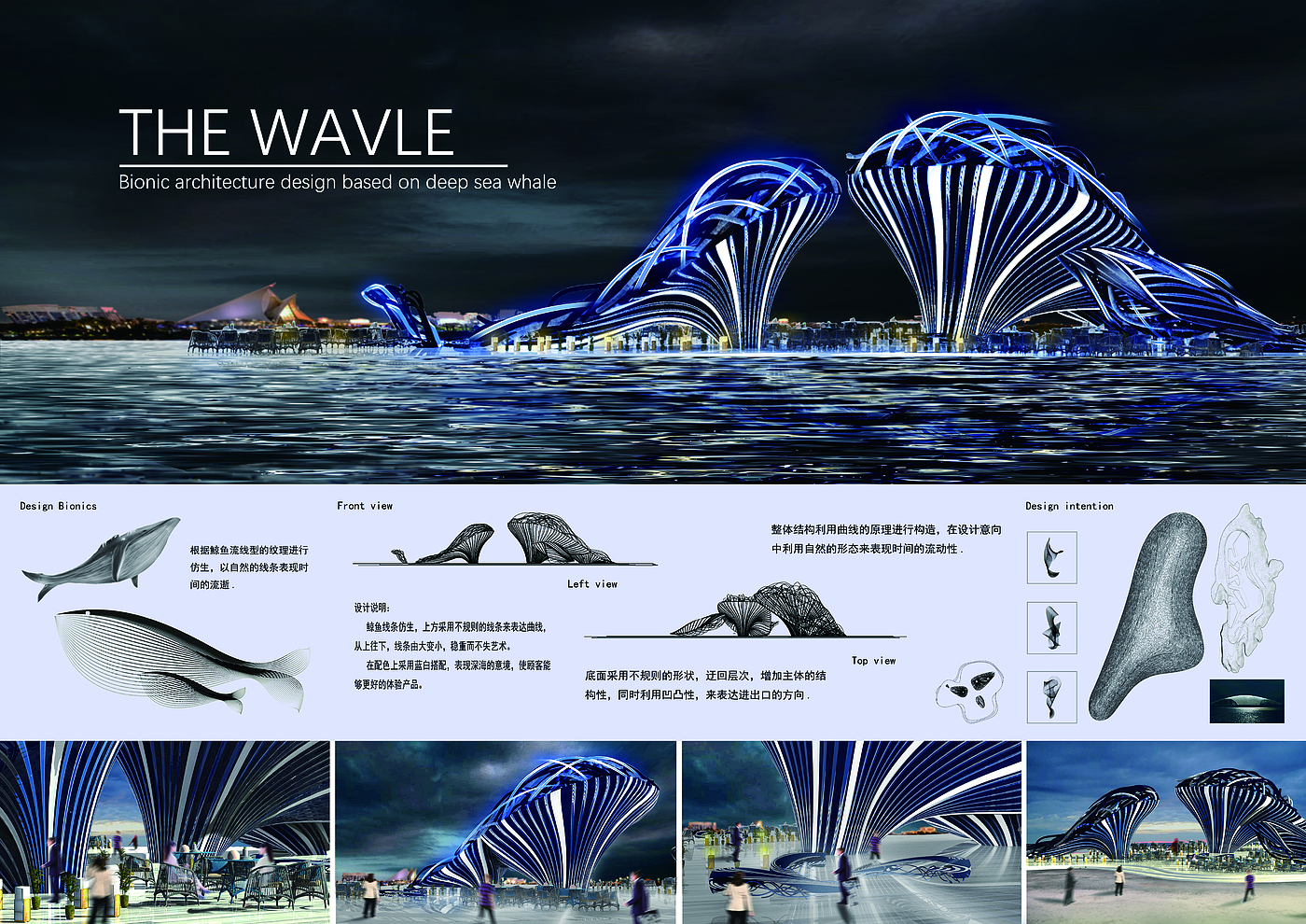 Whale bionics, sense of line, outdoor exhibition hall, architectural design，