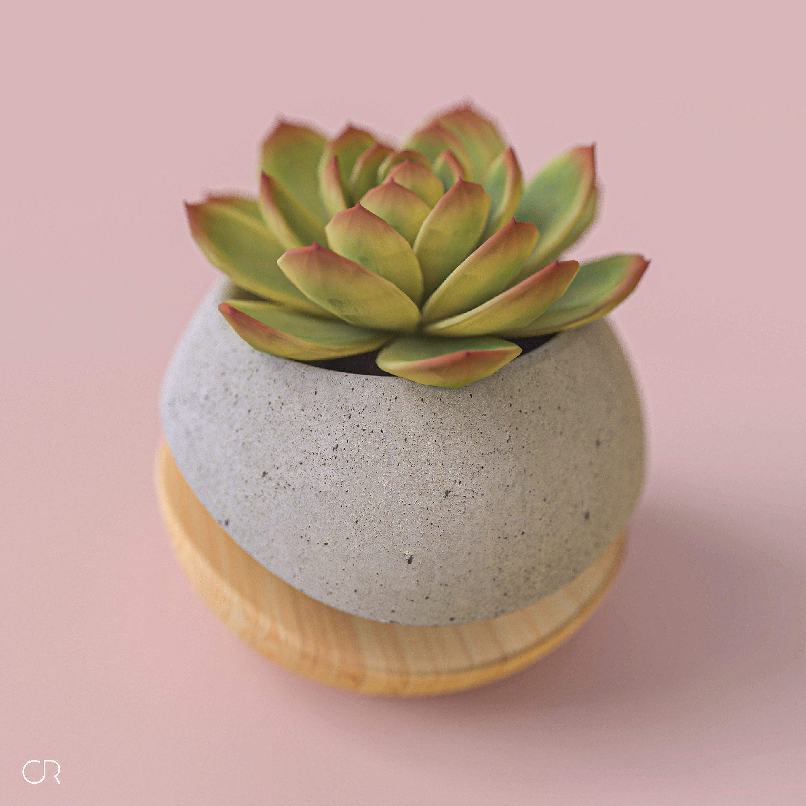 Flowerpot，concrete，wood，Hybrid design，