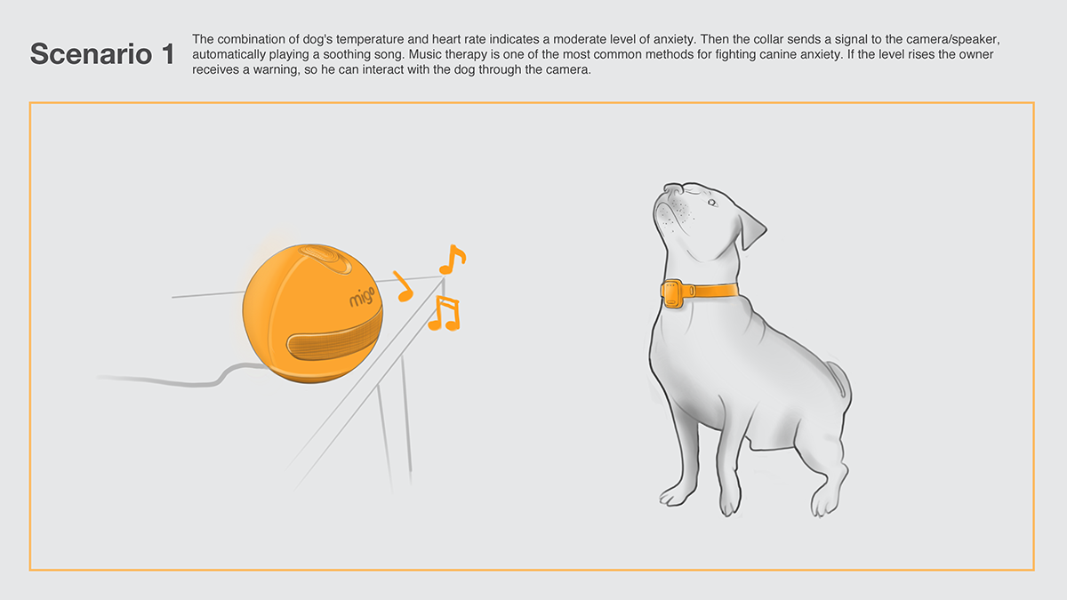 Pet equipment，Digital，intelligence，product design，