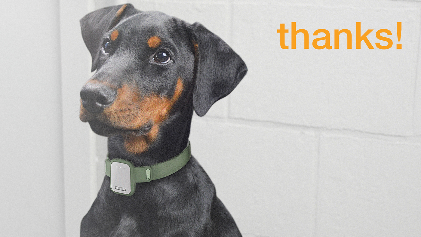 Pet equipment，Digital，intelligence，product design，