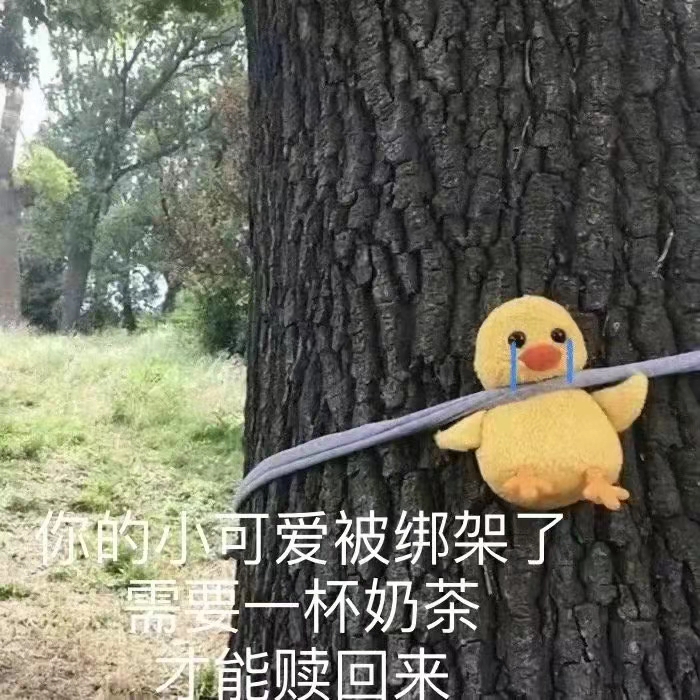 small home appliances，