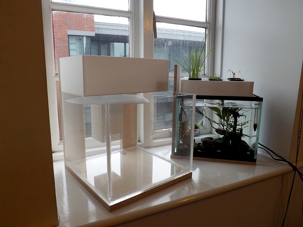 fish tank，Potted plants，Botany，ecology，