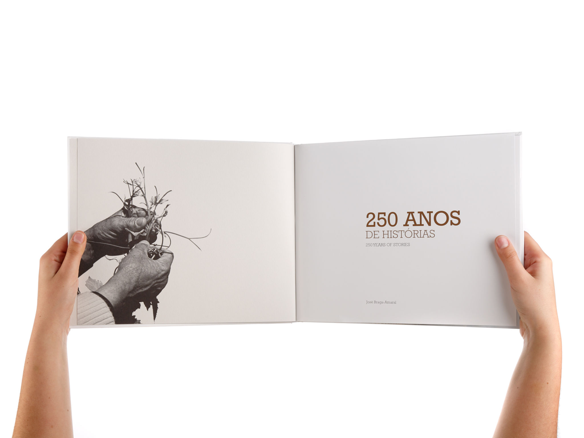 originality，Relief book，product design，2016if Award，
