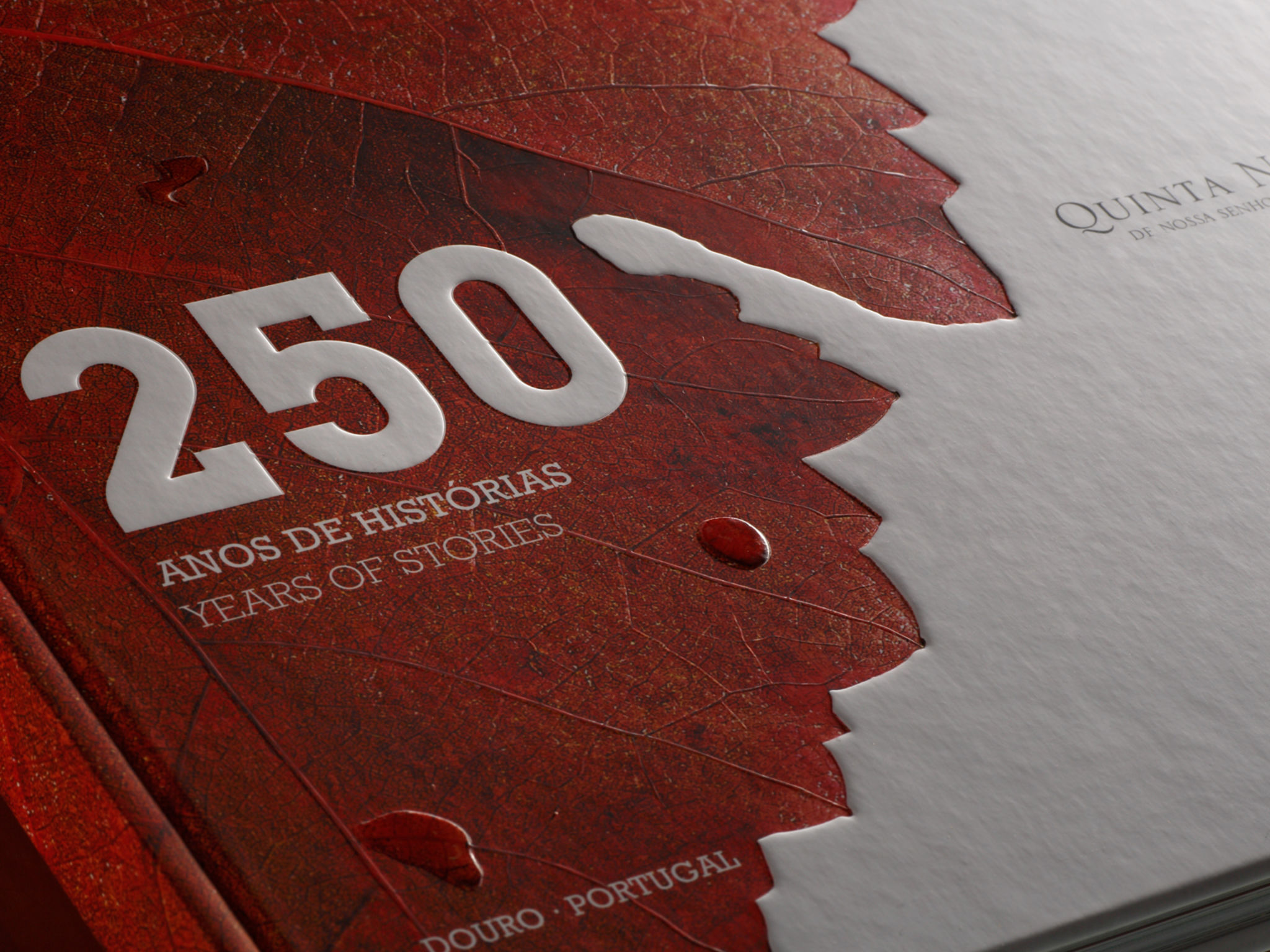 originality，Relief book，product design，2016if Award，