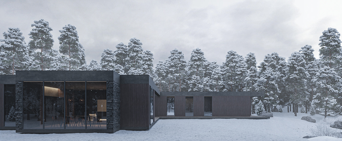 Architecture，Design，house，3d，