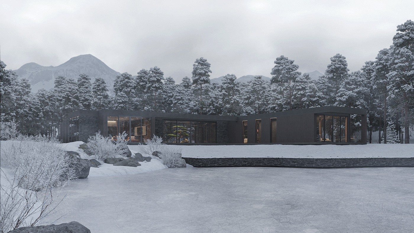 Architecture，Design，house，3d，