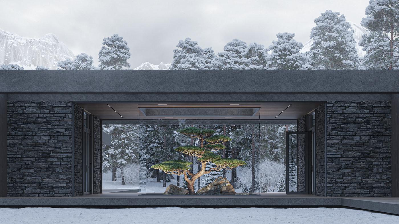 Architecture，Design，house，3d，