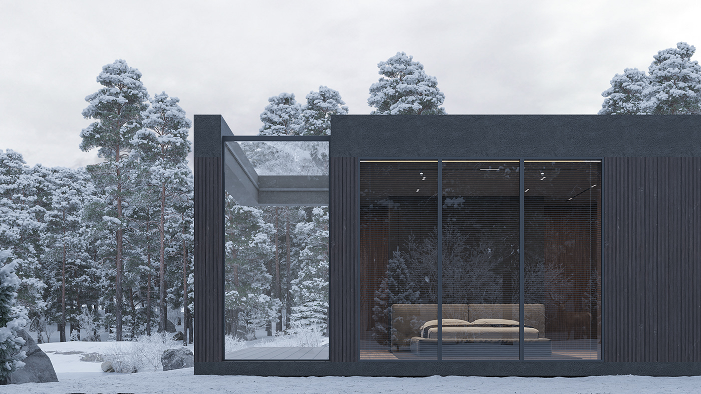 Architecture，Design，house，3d，