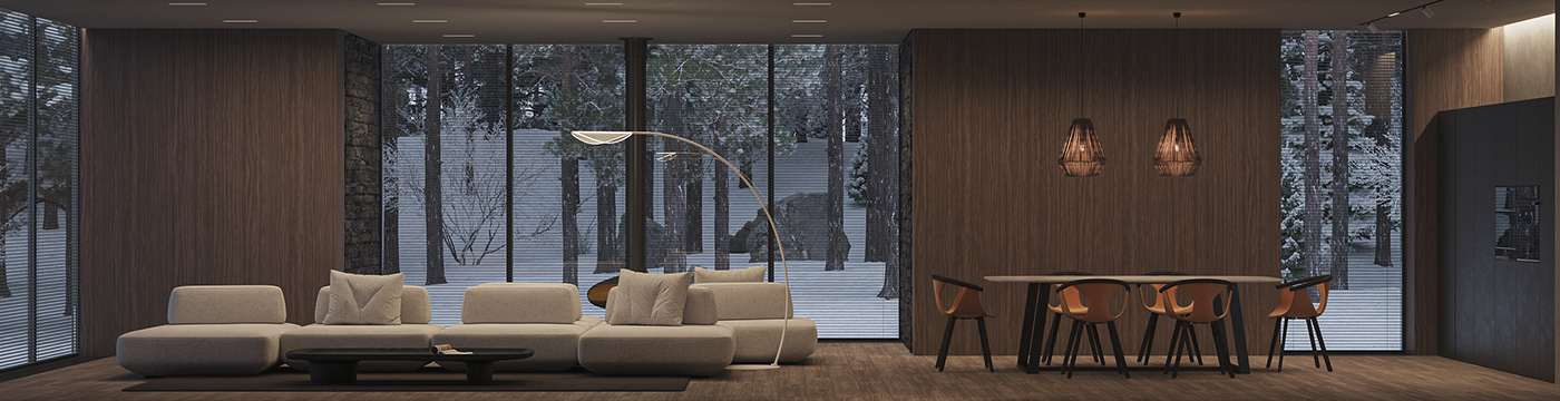 Architecture，Design，house，3d，