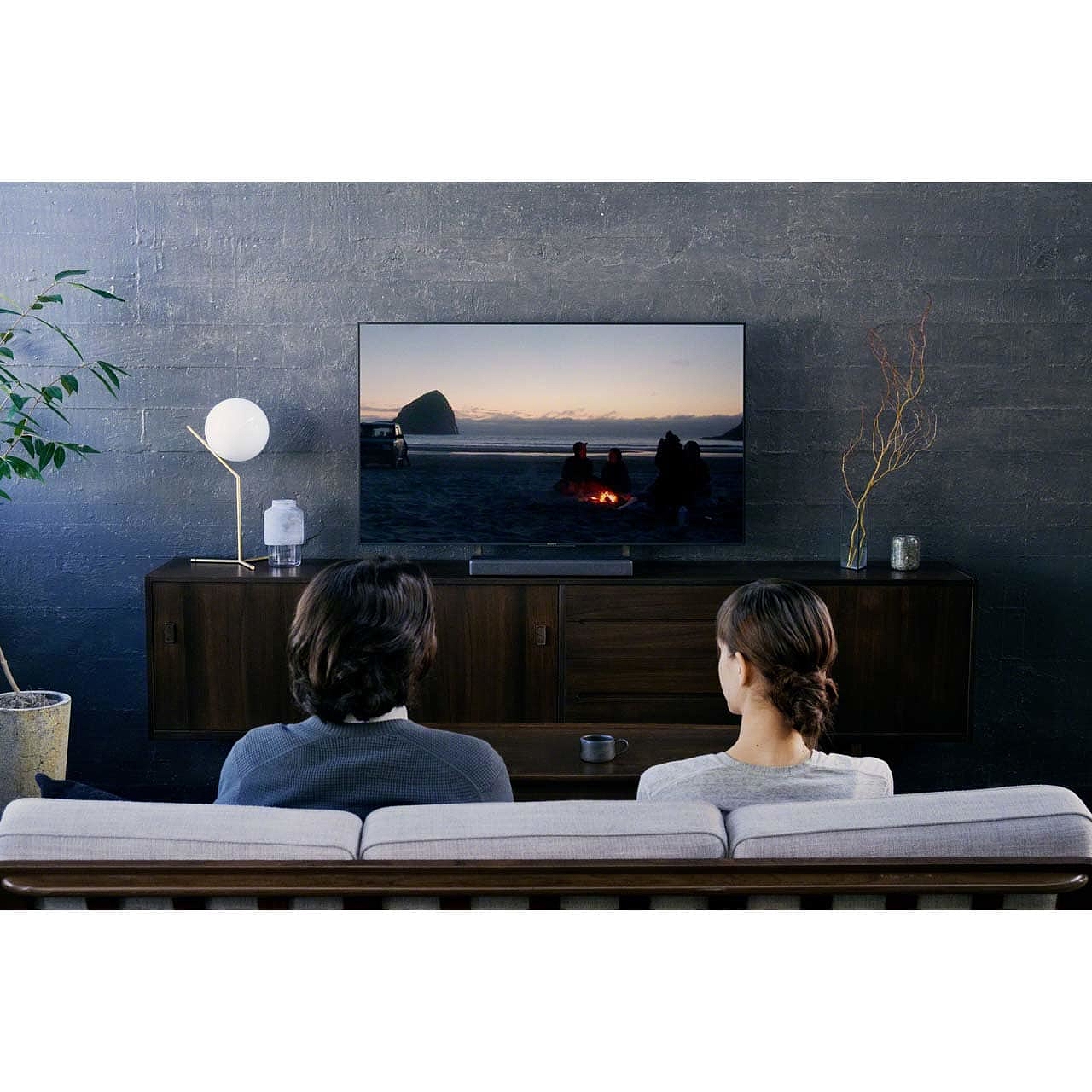 sony，Sony，the echo wall，loudspeaker box，sound，family，