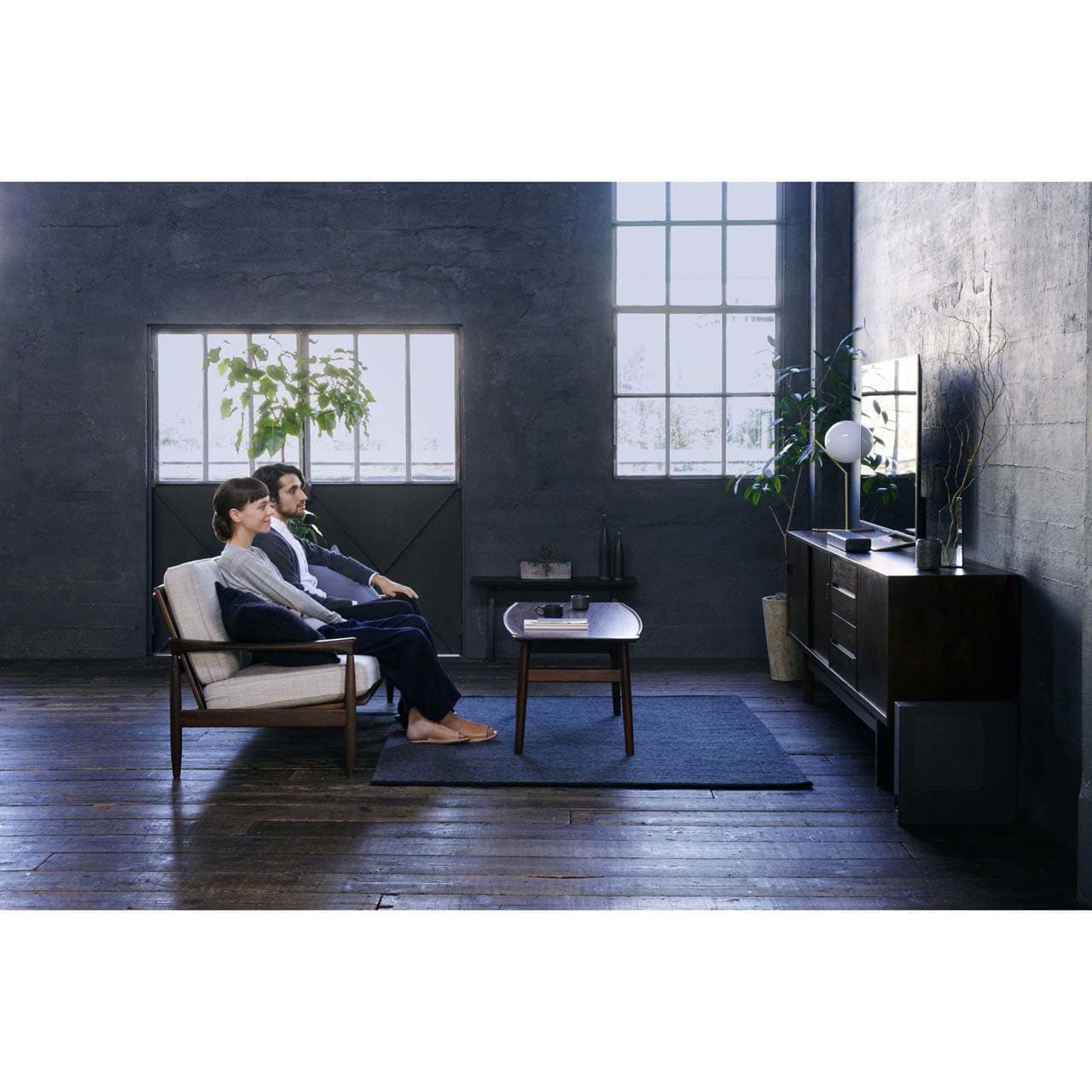 sony，Sony，the echo wall，loudspeaker box，sound，family，