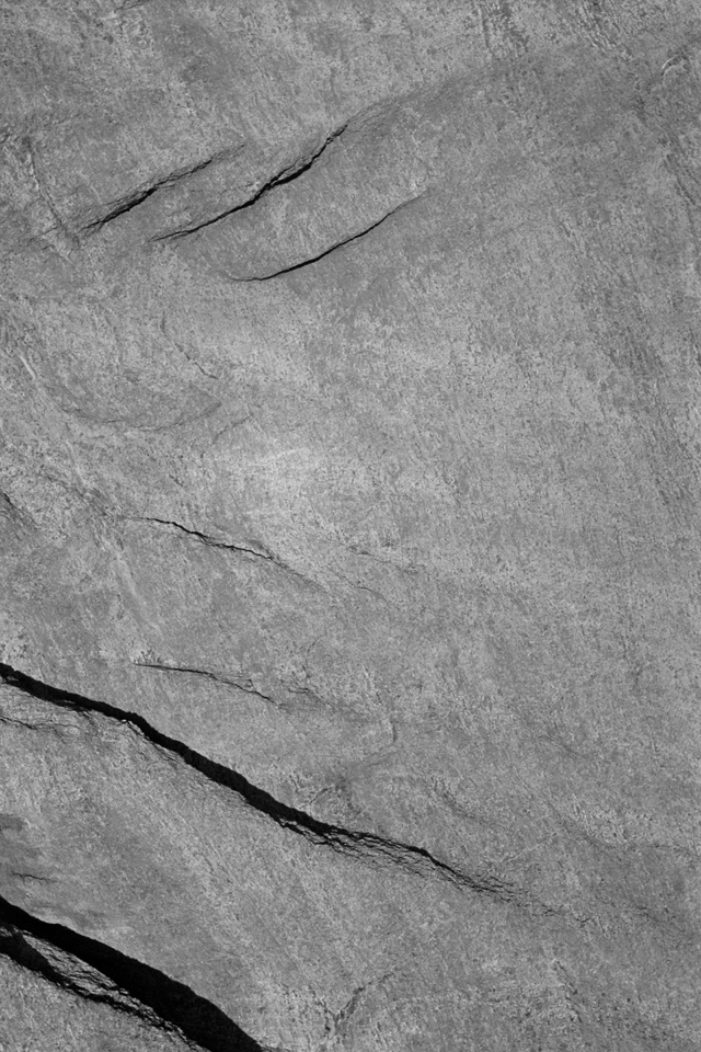 half-conscious，color，course，