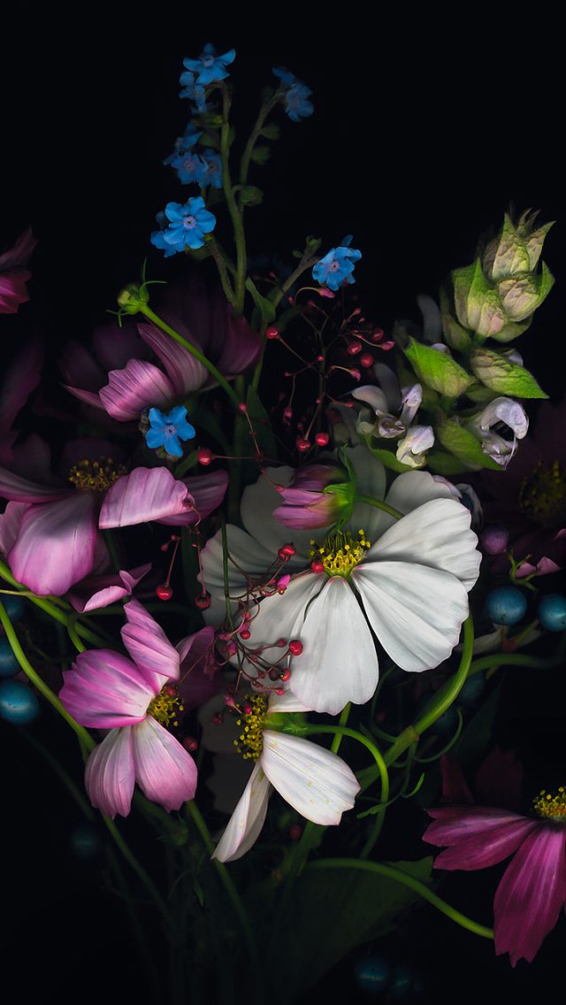 half-conscious，color，course，